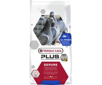 411037 Plus I.C.+ Depure